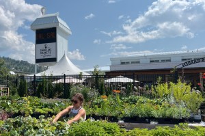 Swan Lake Market & Garden's iconic swan has a new perch atop the store’s tower.