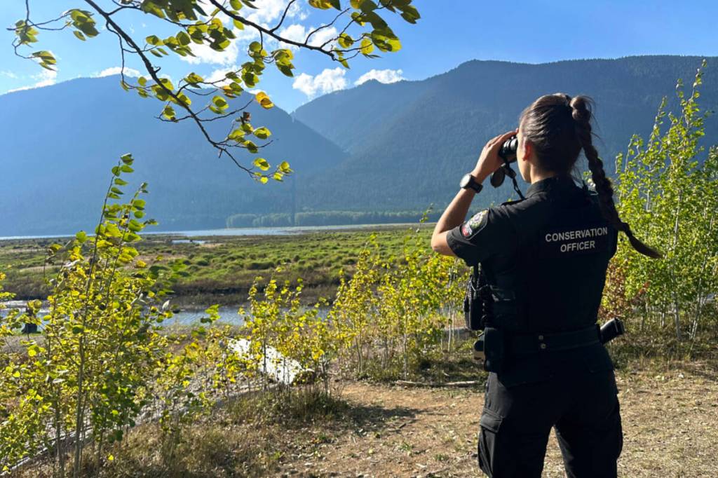 B.C. Poacher Receives Stiff $50,000 Fine and Decade-Long Ban for Egregious Wildlife Offences