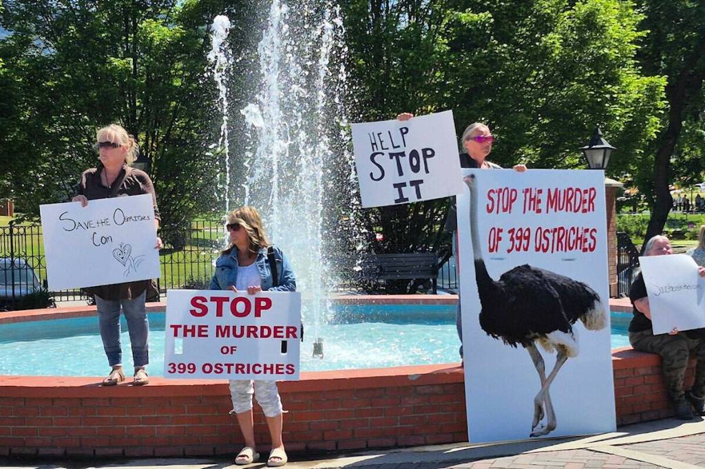 LETTER: Edgewood B.C. and the Universal Ostrich Farm